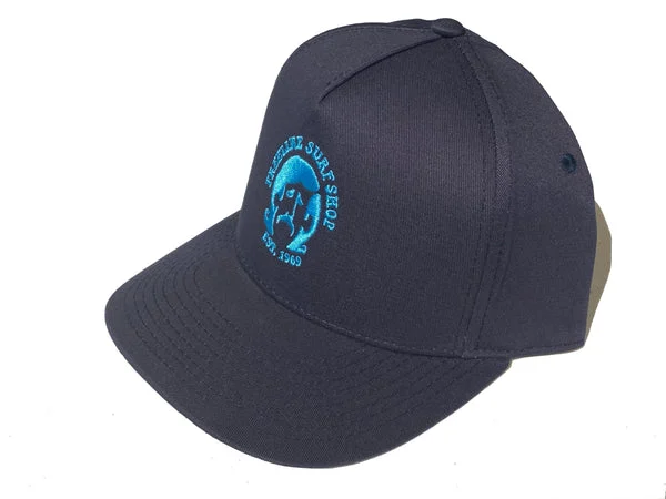 Dapa Snap Back
