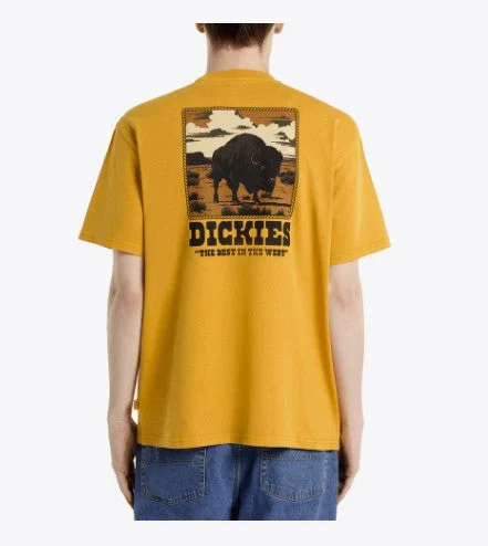 Dickies Mens Shirt Darrtown
