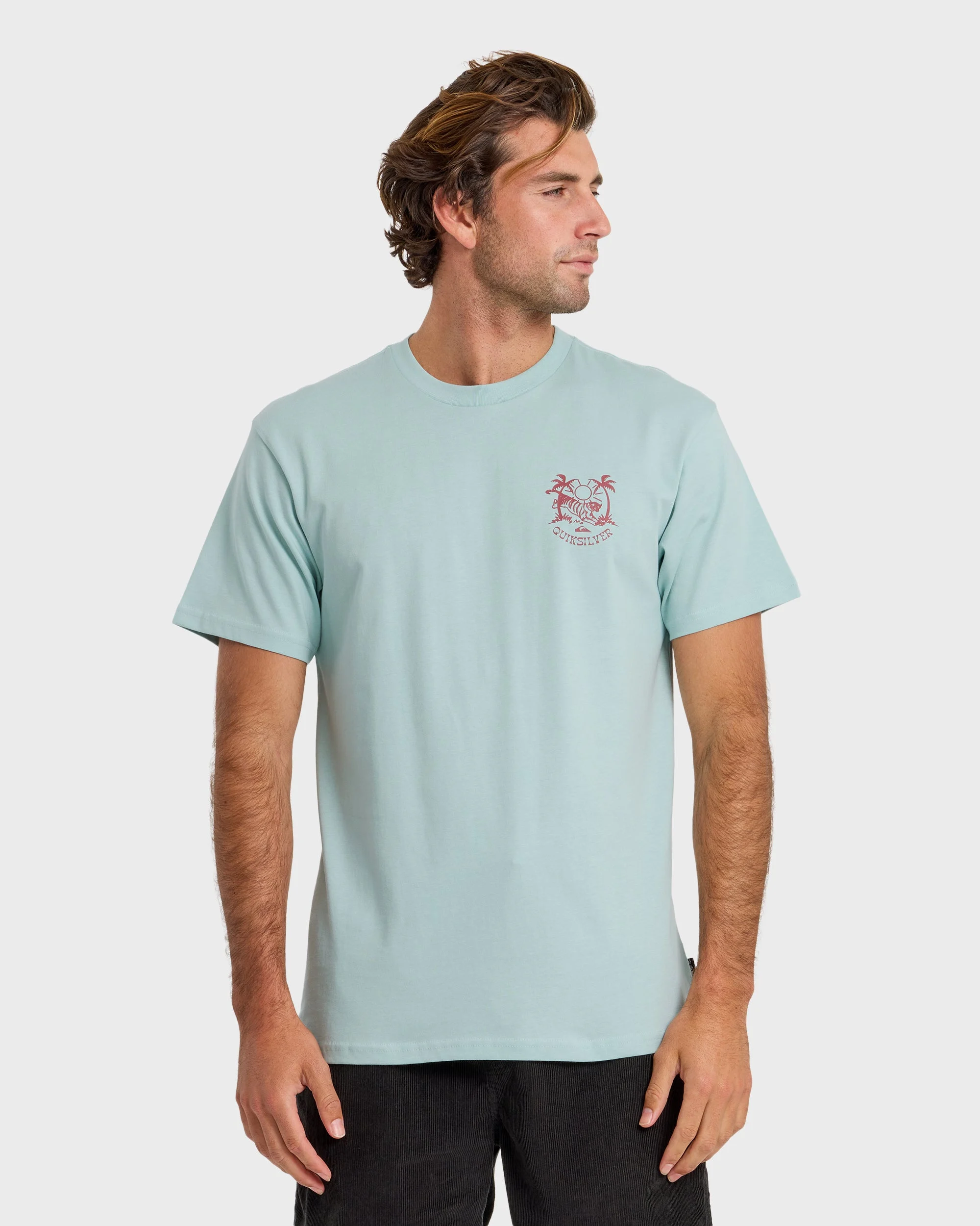 In The Wild Classic Short Sleeve T-Shirt - Blue Haze | Quiksilver