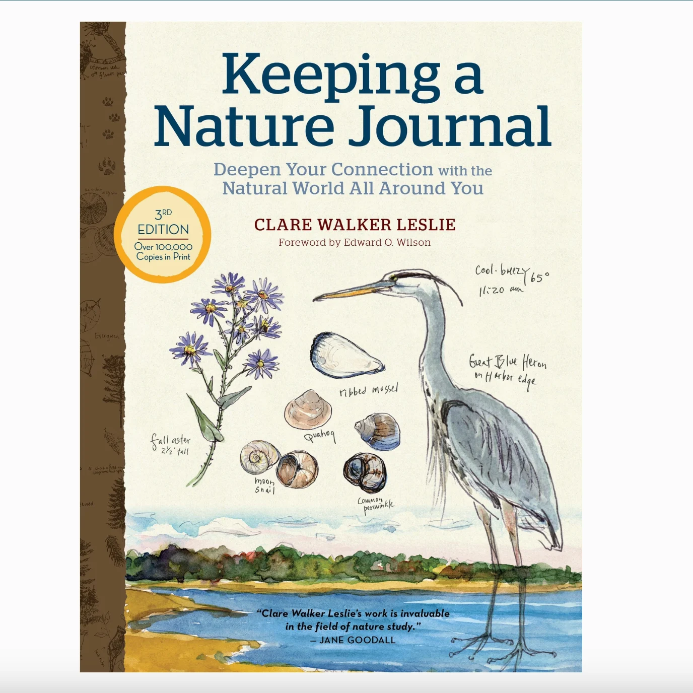 Keeping a Nature Journal