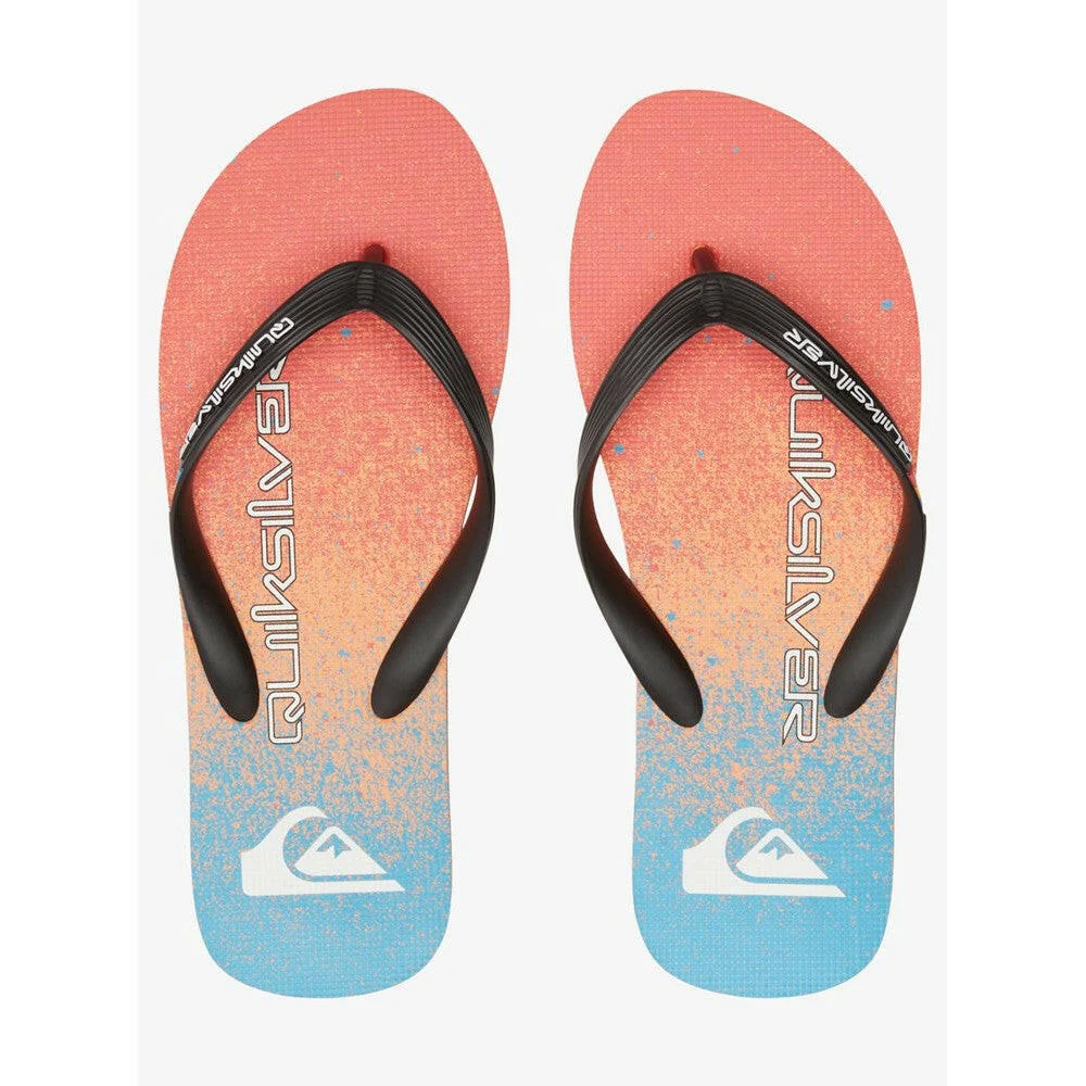 Quiksilver Flip-flops Men Molokai Art II