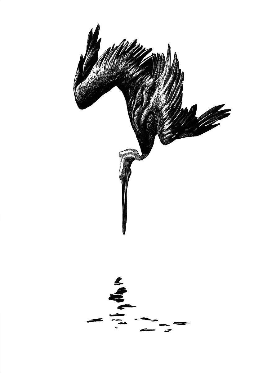 Rachel Strader Prints