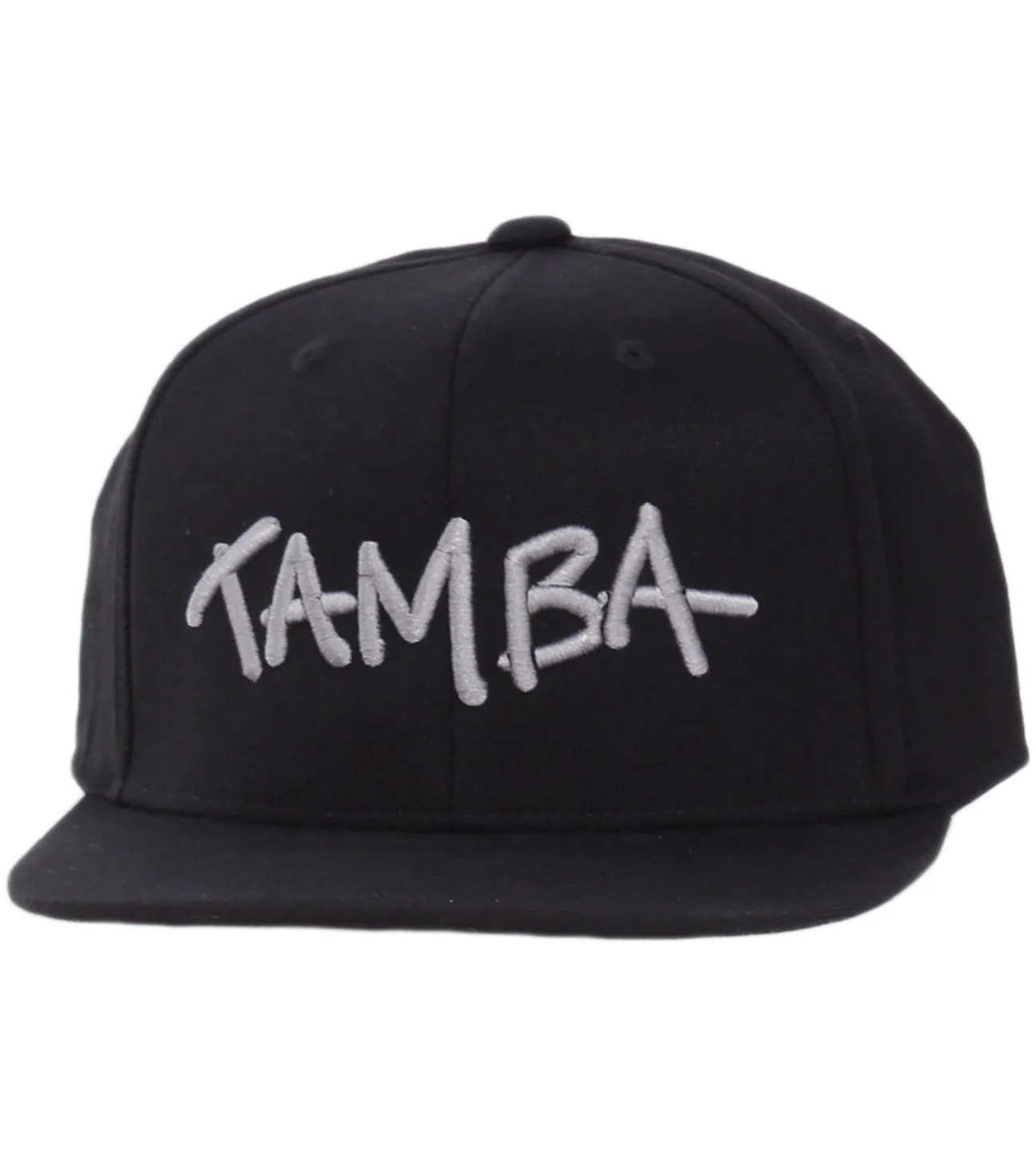 Stuzzy 3D Snapback Hat - Black/Silver