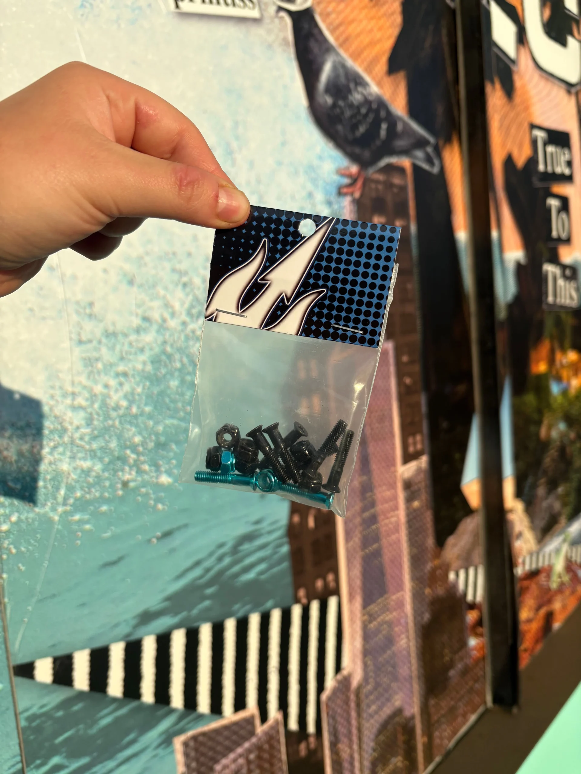 WBZ Blue & Black 1" Phillips Skateboard Hardware